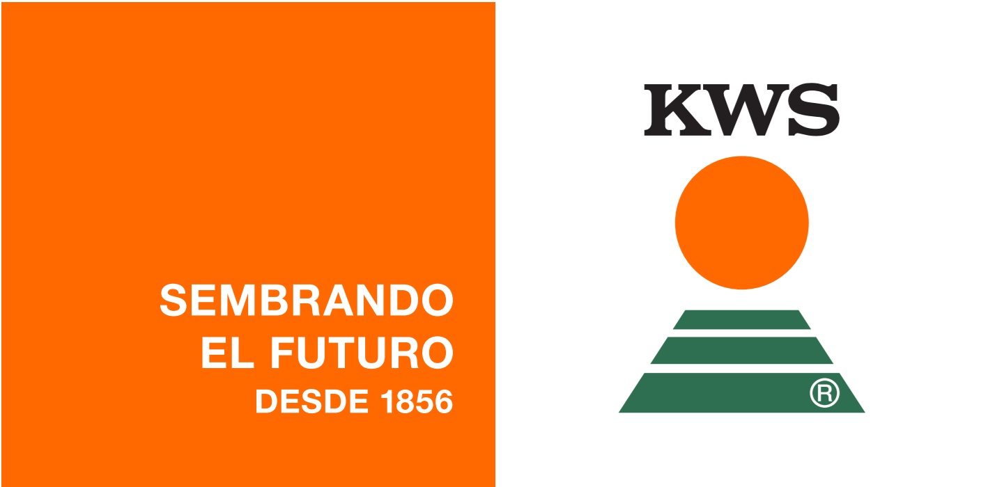 4 logokws